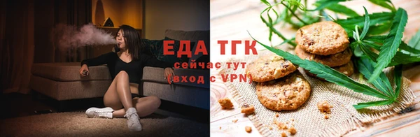 трава Коряжма