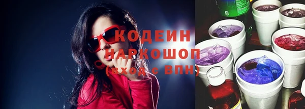 трава Коряжма