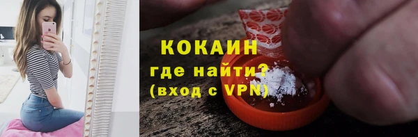 шишки Костерёво