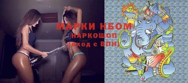 трава Коряжма