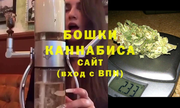 шишки Костерёво