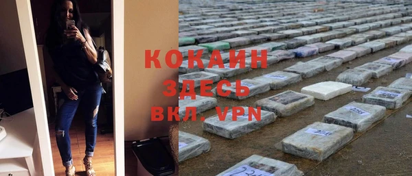 шишки Костерёво