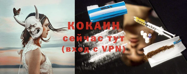 трава Коряжма