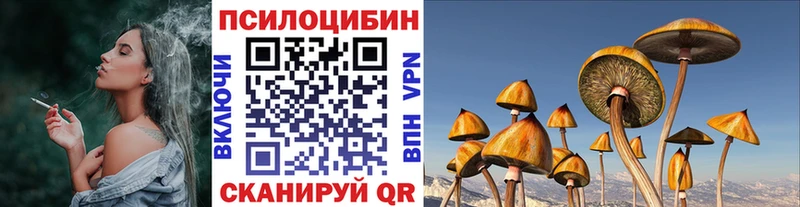 даркнет сайт  Невинномысск  Галлюциногенные грибы Magic Shrooms 