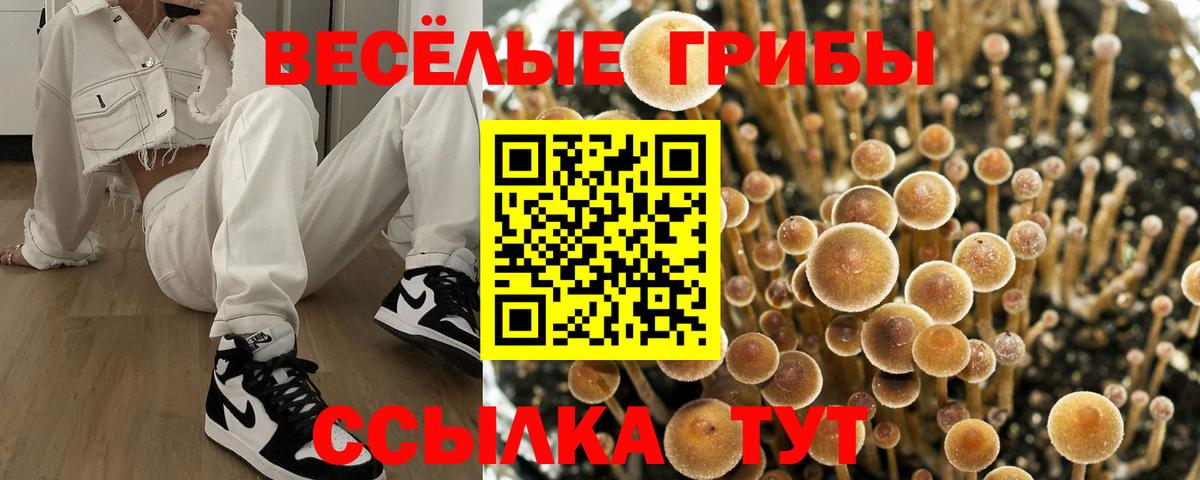 Галлюциногенные грибы GOLDEN TEACHER Невинномысск